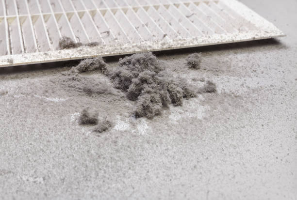 Best Affordable HVAC Duct Cleaning  in Karnes City, TX