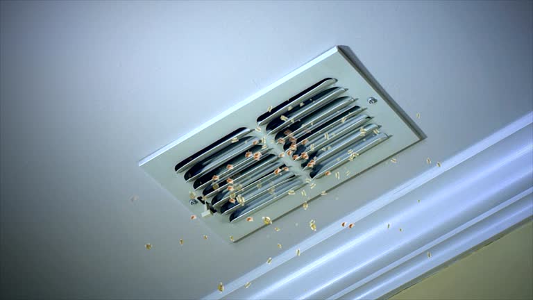 Best Commercial HVAC Duct Cleaning  in Karnes City, TX