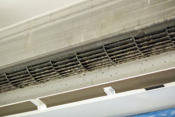 Best Affordable HVAC Duct Cleaning  in Karnes City, TX